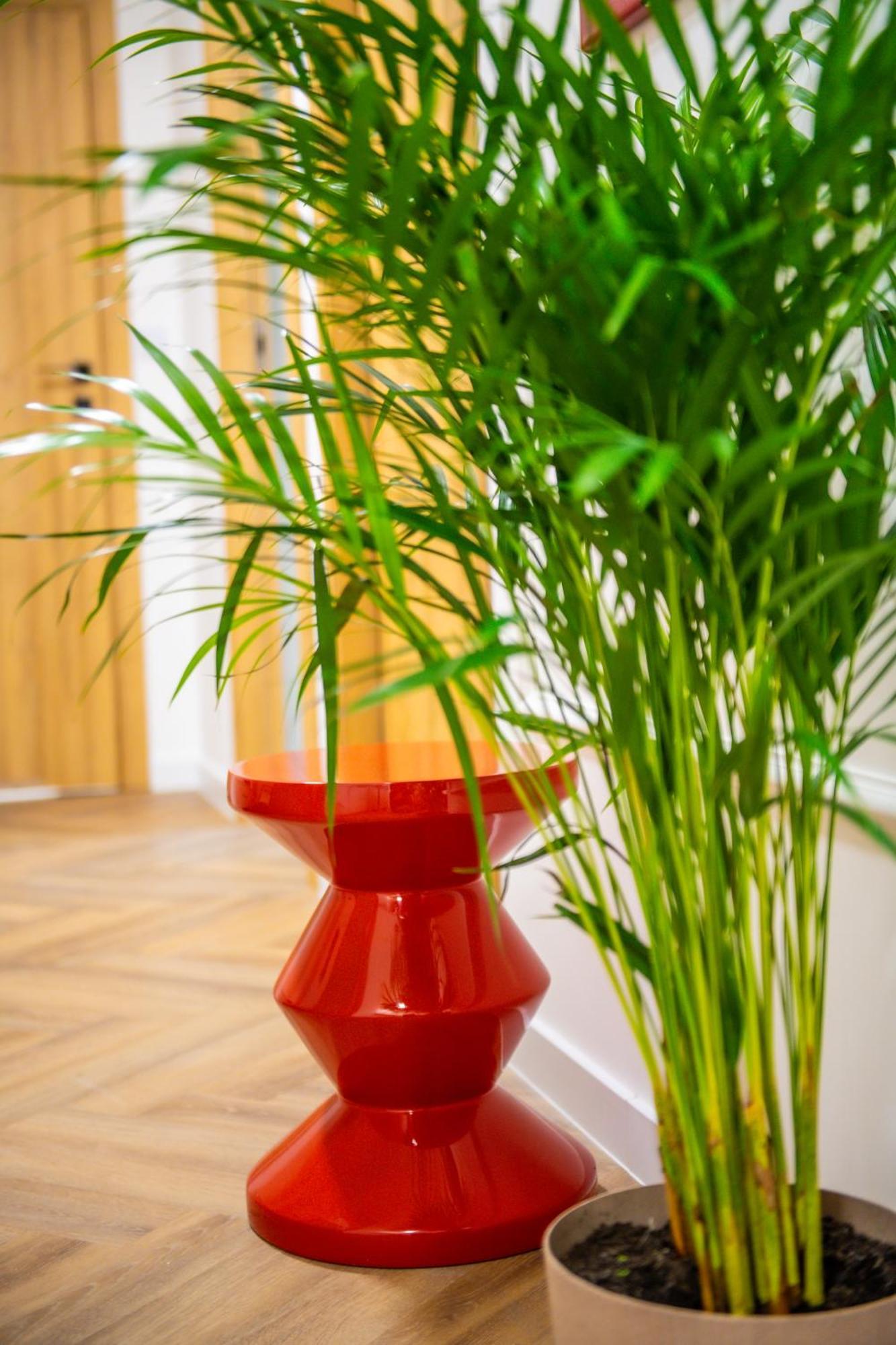 Apartament Mikolowska Z Tarasem กลีวิตเซ ภายนอก รูปภาพ